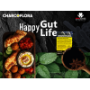 CHARCOFLORA 2 BILLION CFU ACTIVATED CHARCOAL + PROBIOTIC + PREBIOTIC FIBER DIETARY SUPPLEMENT 30 HARD GELATIN CAPSULES